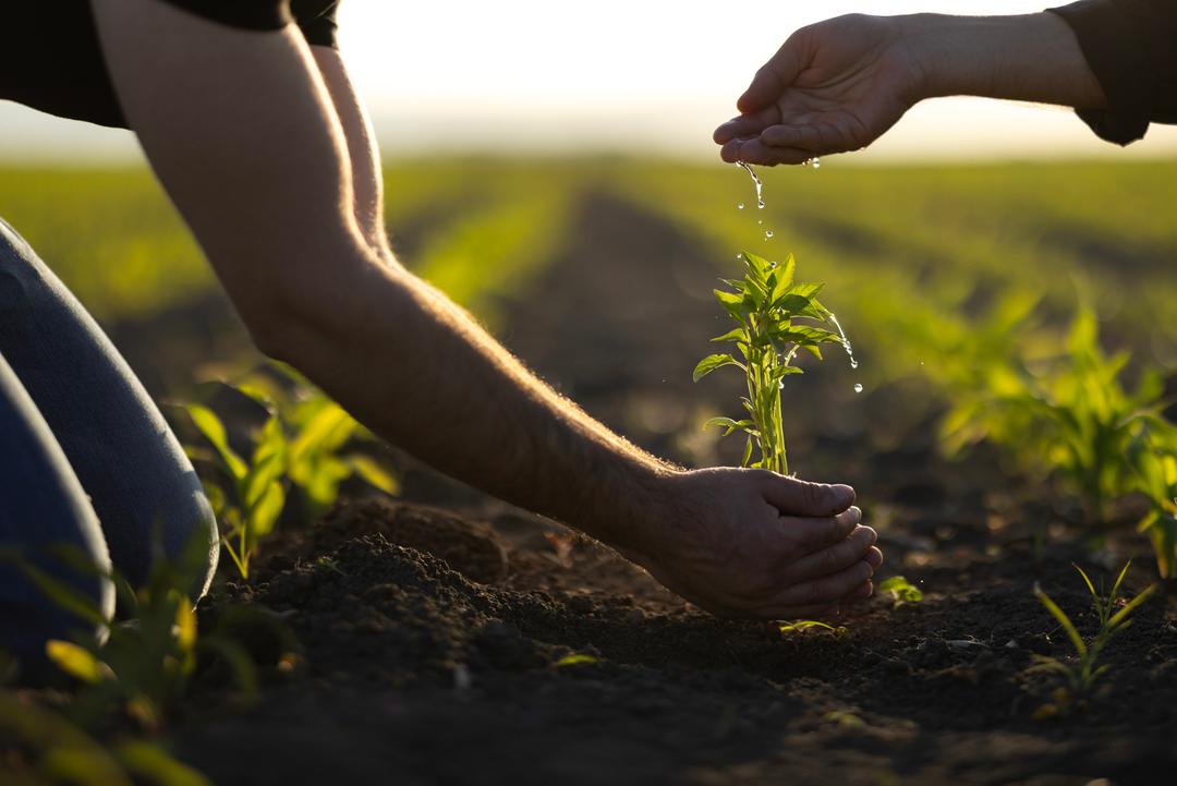 Qué es Philanthropic